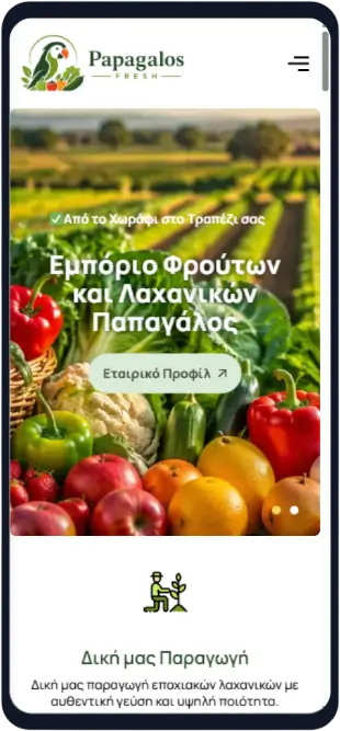 Εξαιρετικός responsive σχεδιασμός για άριστη προσαρμογή σε κινητά και tablet